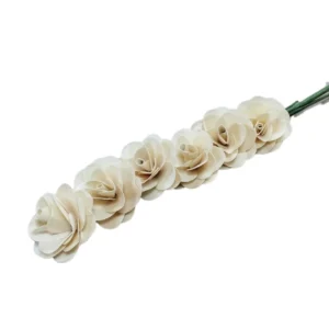 Capete de flori Begonie uscate pentru aranjamente florale și decor natural