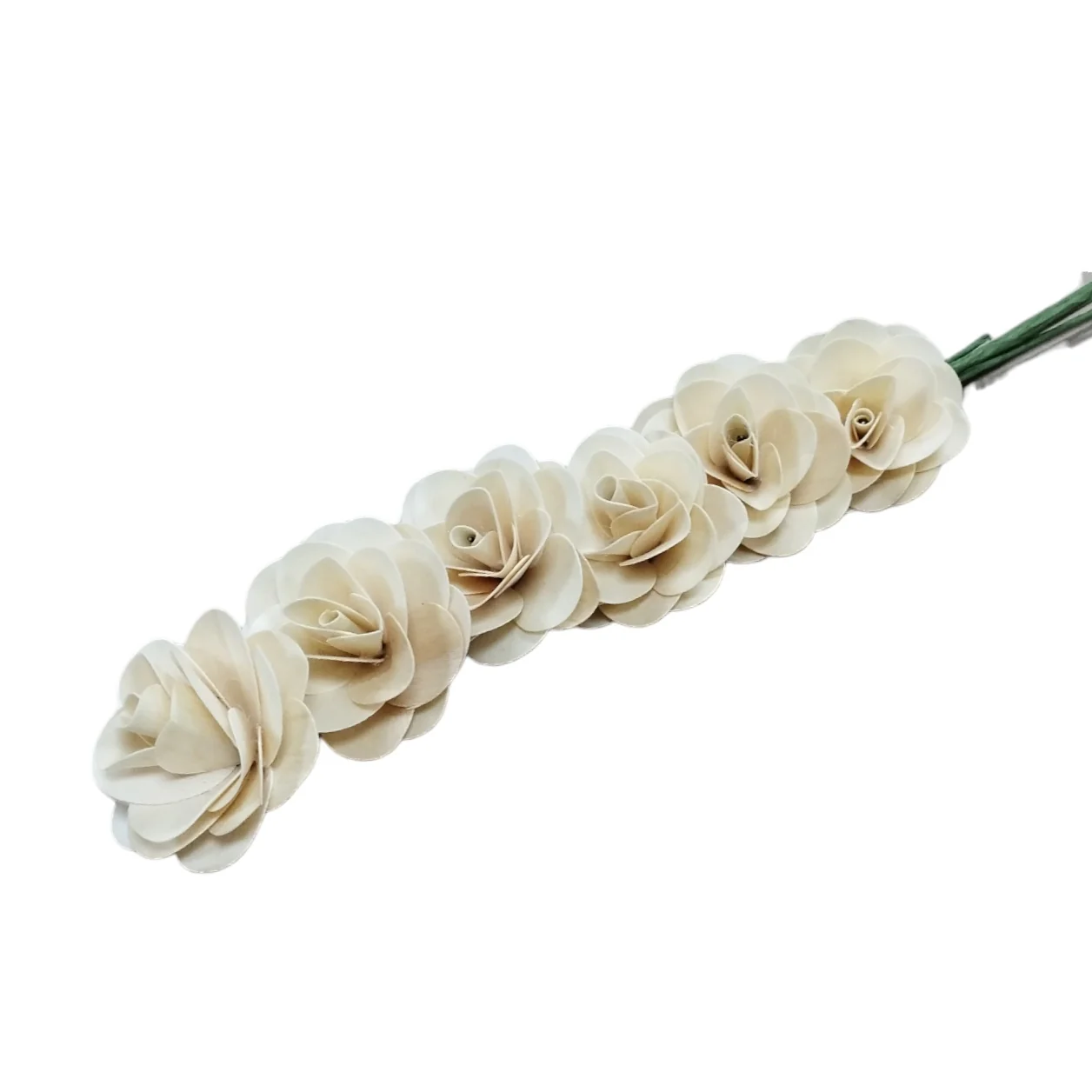Capete de flori Begonie uscate pentru aranjamente florale și decor natural