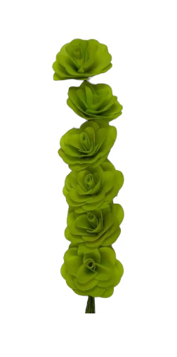 Capete de flori Begonie uscate pentru aranjamente florale și decor natural