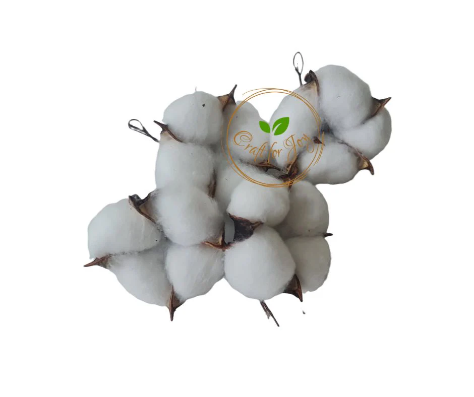 Floare de bumbac alb - imagine 2