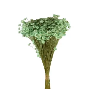 Glixia blue aqua – floare uscată premium pentru aranjamente florale și decoruri handmade