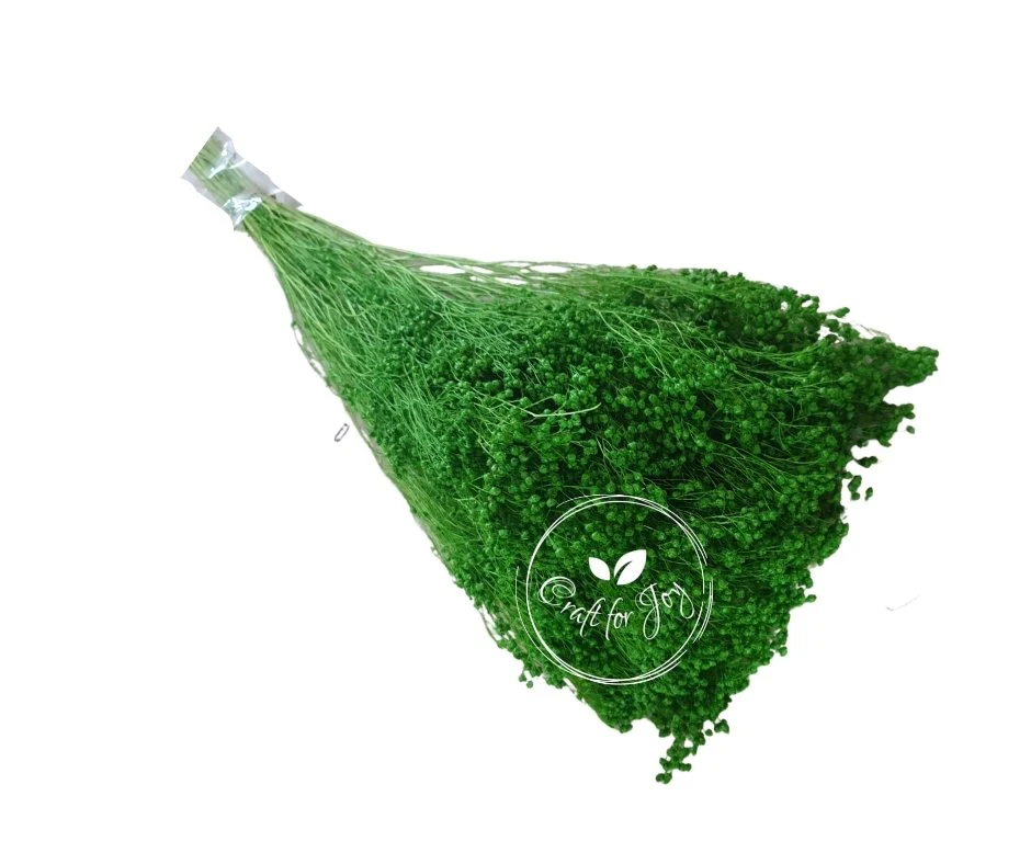 Broom Bloom Verde deschis stabilizat 100g - imagine 2