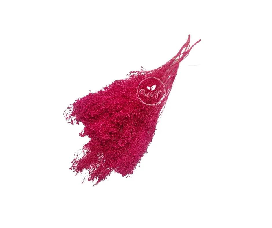 Broom Bloom uscat fucsia, înălțime 50 cm – floare decorativă naturală pentru aranjamente florale, buchete și proiecte DIY
