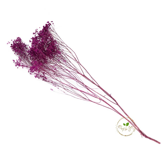 Broom Bloom uscat mov Erica – floare decorativă naturală pentru aranjamente florale și proiecte DIY
