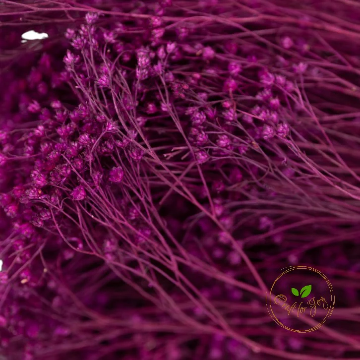 Broom Bloom uscat mov erica - imagine 2