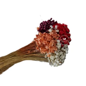 Glixia mix de culori – flori uscate premium pentru aranjamente florale și decoruri handmade