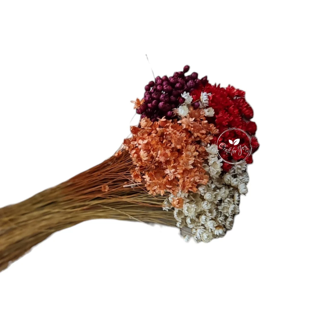 Glixia mix de culori – flori uscate premium pentru aranjamente florale și decoruri handmade