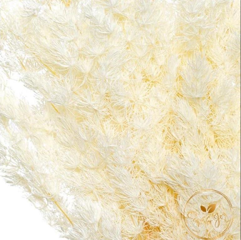 Feriga Ming alb/crem H30-50cm - imagine 2