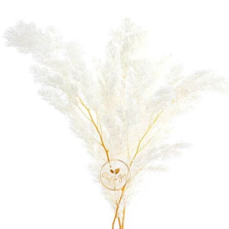 Ferigă Ming uscată, alb/crem, înălțime 30–50 cm – plantă decorativă naturală pentru aranjamente florale, tablouri cu licheni și proiecte DIY