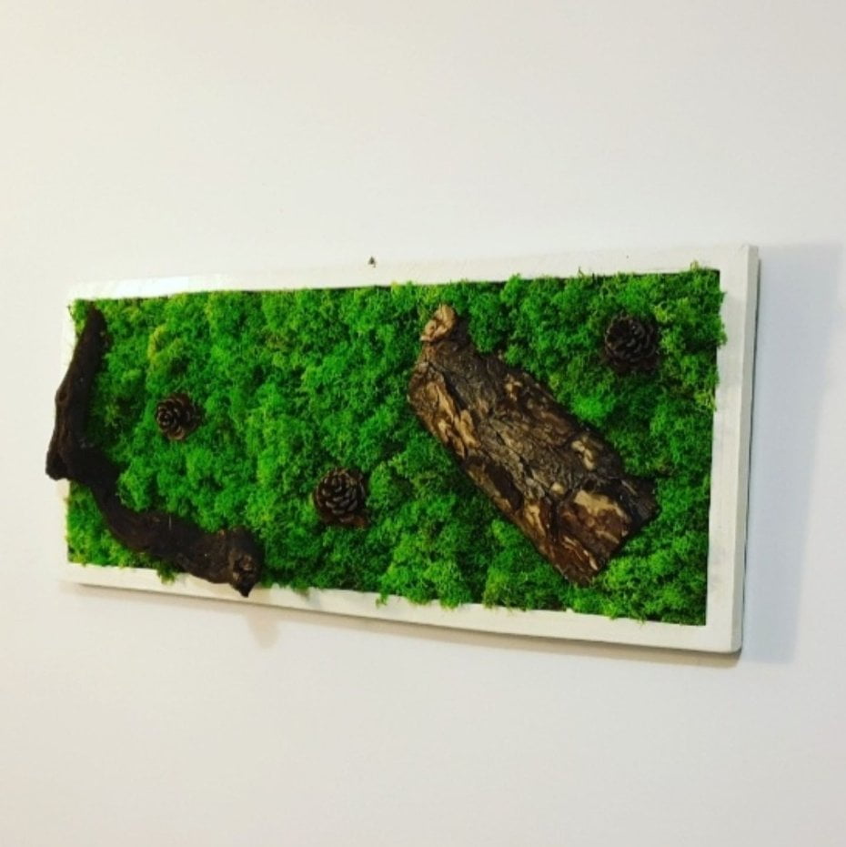 Tablou cu licheni 70x30 cm - imagine 3