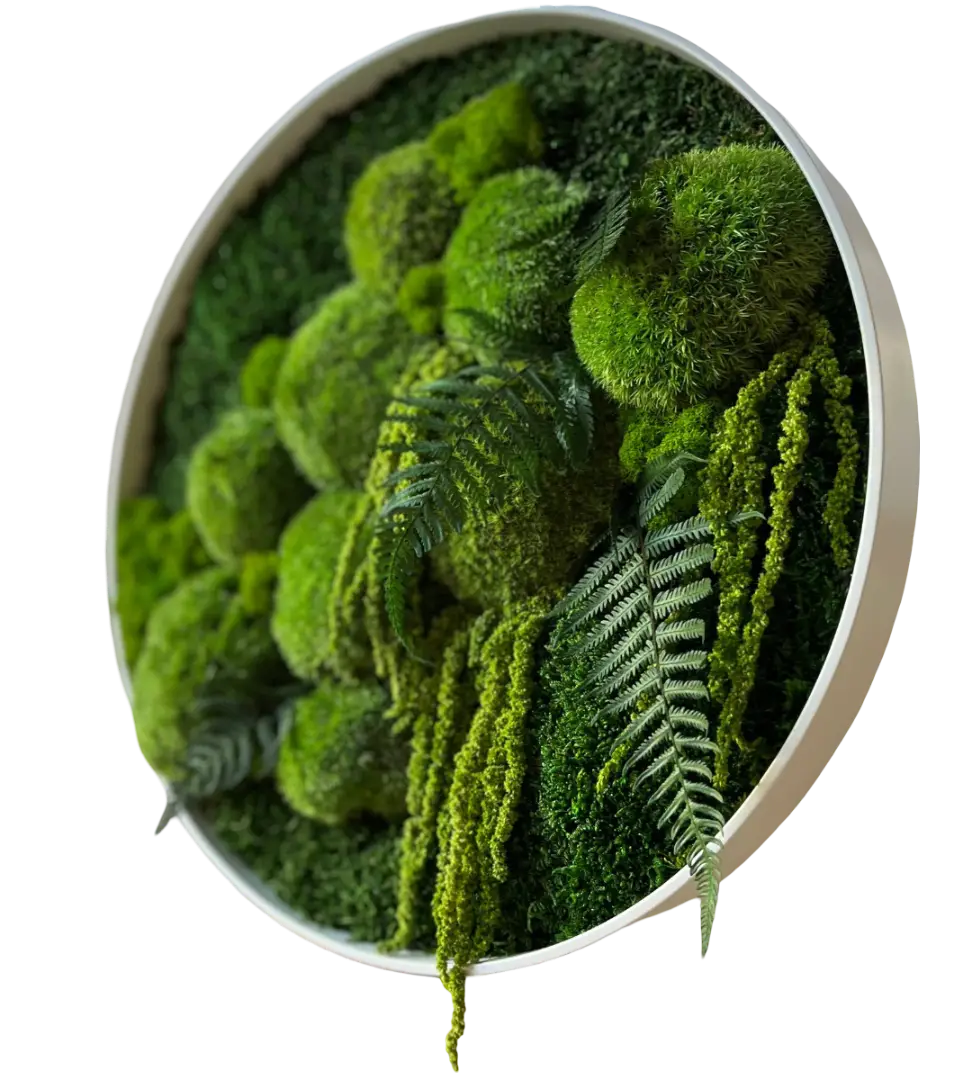 Cerc din licheni peisaj Ø 40 cm - imagine 3