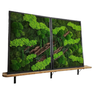 Tablouri cu licheni stabilizati 60x50 cm SET