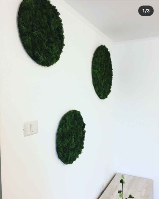 Cerc cu licheni SET ( Ø 70cm, Ø 50cm si Ø 30cm ) - imagine 2