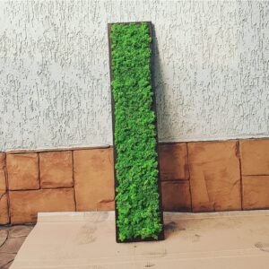 Tablou din licheni stabilizati 100x20 cm