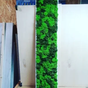 Tablou cu licheni 100x30 cm