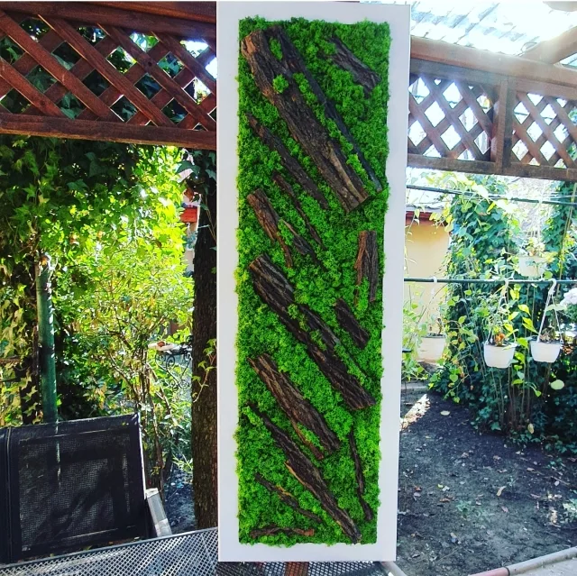 Tablou cu licheni 100x30 cm