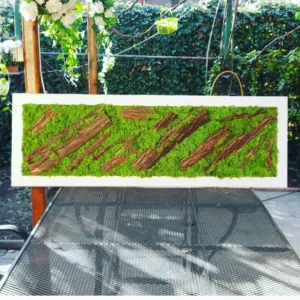 Tablou cu licheni 100x30 cm