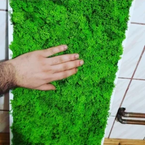 Tablou cu licheni 100x30 cm