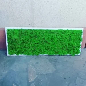 Tablou cu licheni 100x30 cm