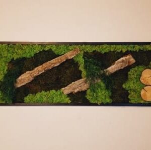Tablou din licheni 140x40 cm