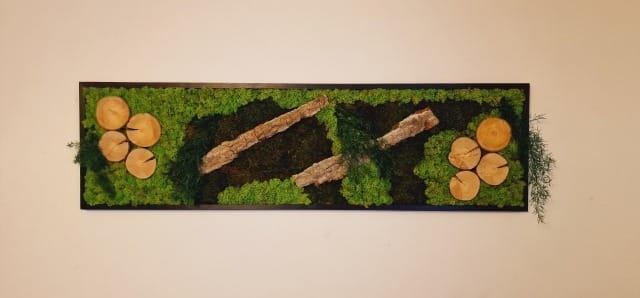 Tablou din licheni 140x40 cm