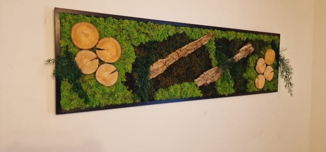 Tablou din licheni 140x40 cm - imagine 3