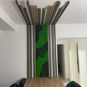 Tablou cu licheni 100x40 cm