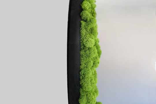 Cerc din licheni 30 cm - imagine 3
