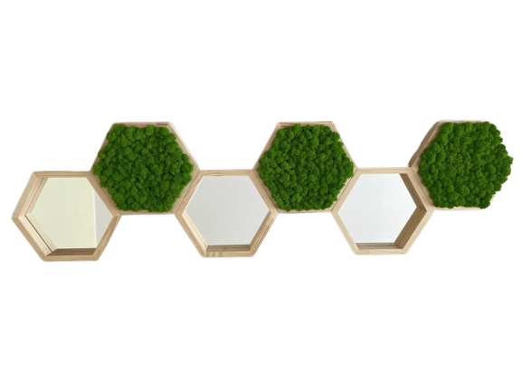 Hexagoane din licheni 25x25 cm Set - imagine 2