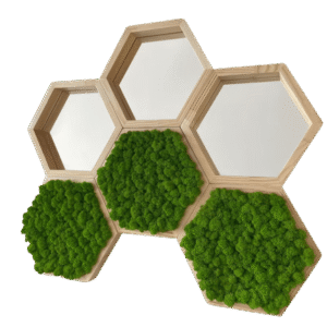 Hexagoane din licheni 25x25 cm Set