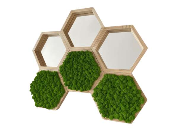 Hexagoane din licheni 25x25 cm Set
