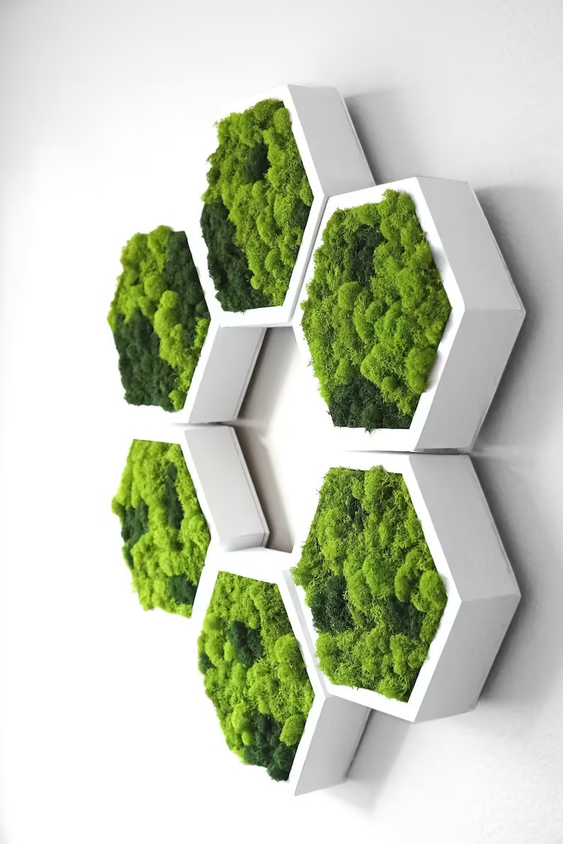 Hexagoane din licheni 35x30 cm Set - imagine 2