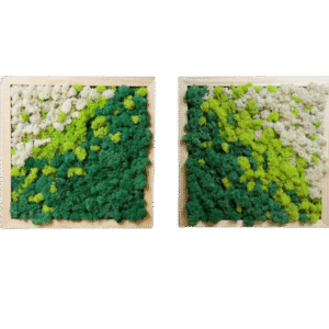 Tablouri din licheni 40x40 cm Set