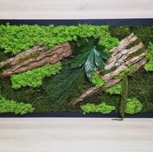 Tablou din licheni 100x40 cm
