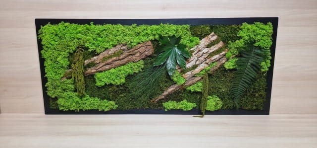 Tablou din licheni 100x40 cm