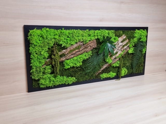 Tablou din licheni 100x40 cm - imagine 2