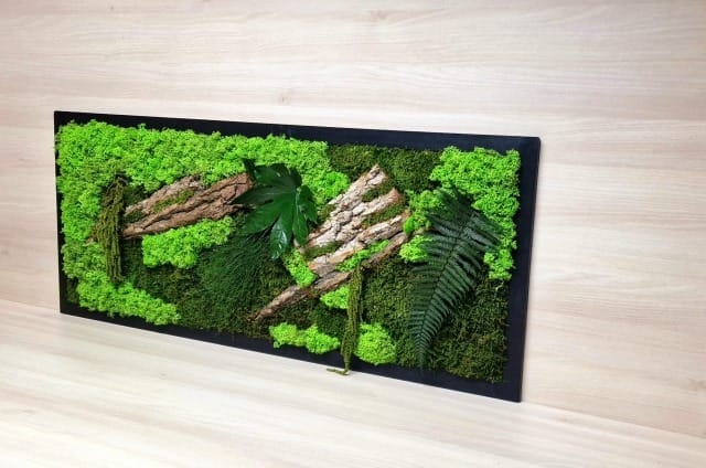 Tablou din licheni 100x40 cm - imagine 3