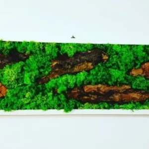 Tablou cu licheni 100x30 cm
