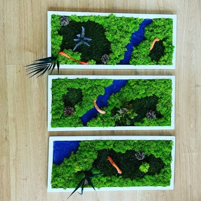 Tablouri licheni stabilizati SET 70x30 cm - imagine 4