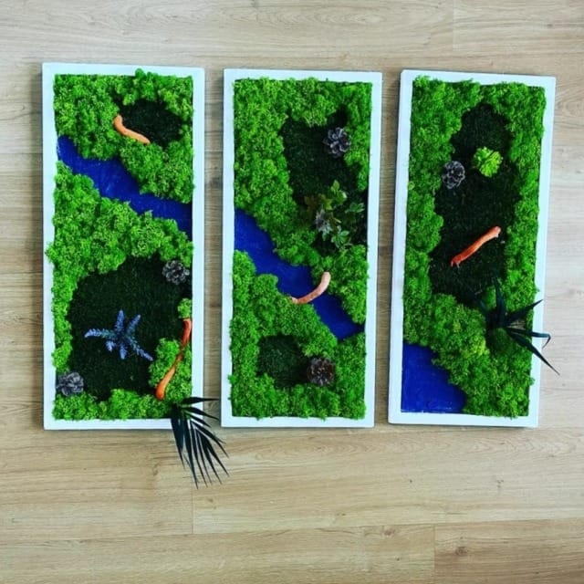 Tablouri licheni stabilizati SET 70x30 cm